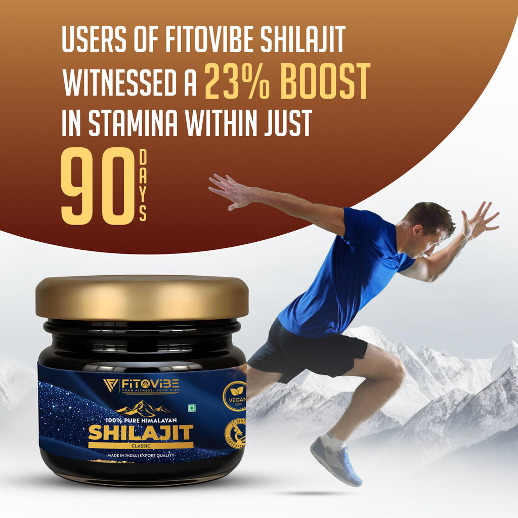 Fitovibe Himalayan Shilajeet Classic – Premium Natural Herbal Resin